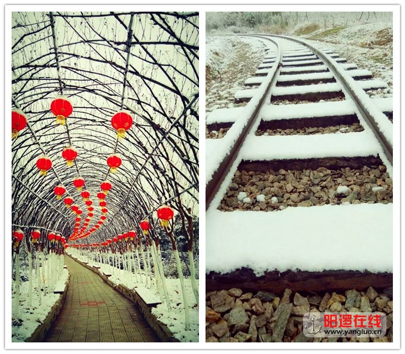 QQ图片20160121162443_副本.jpg