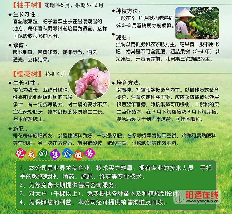 02-副本_03.jpg