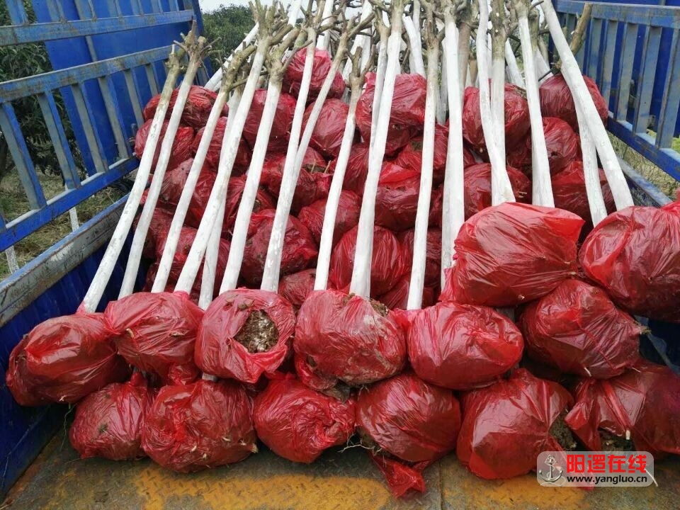 QQ图片20160214092641.jpg