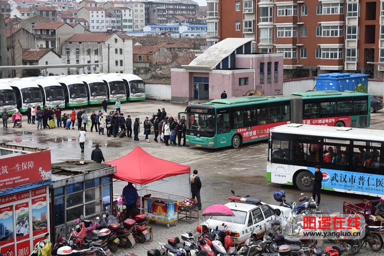 春运期间阳逻汽车客运站旅客有序排队.jpg