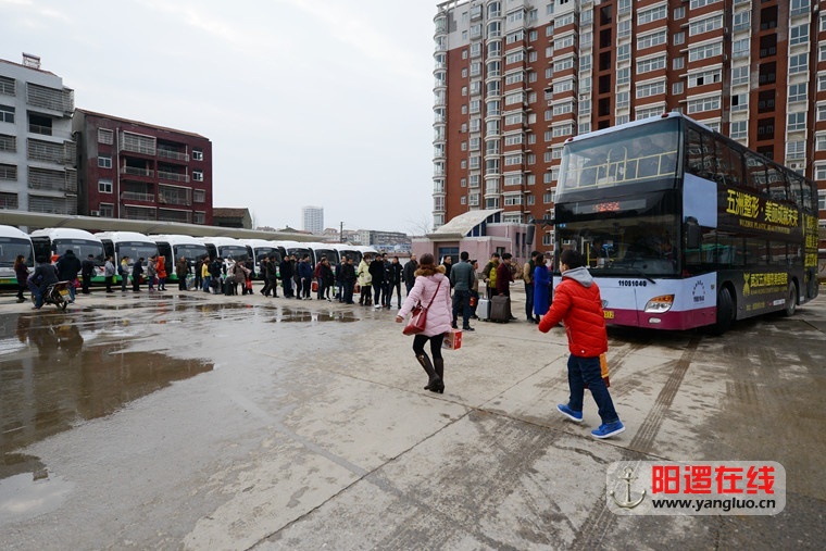 春运期间阳逻汽车客运站旅客有序排队2.jpg