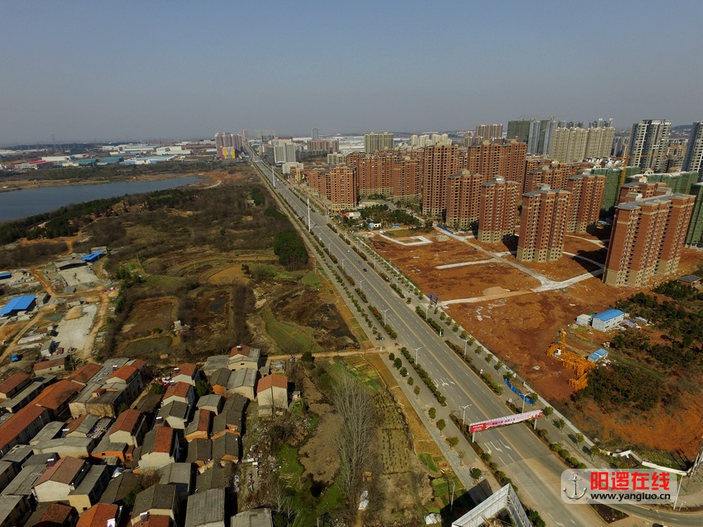 阳逻余泊大道.jpg