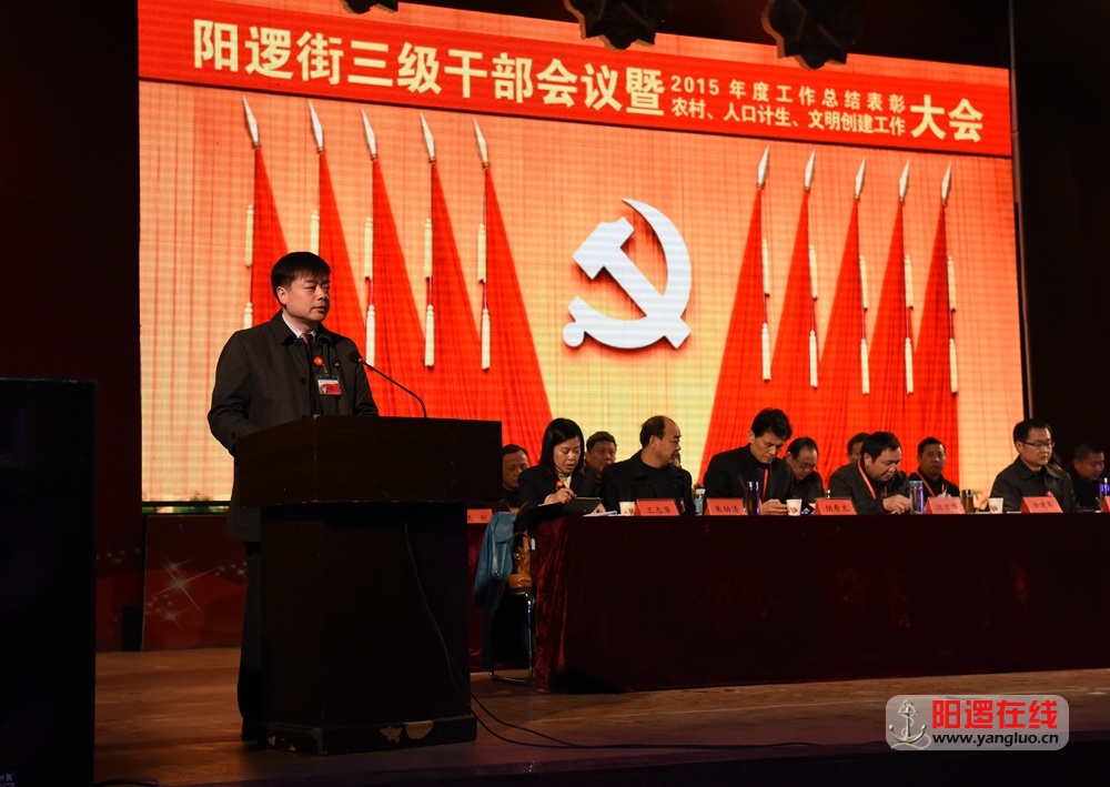 阳逻街召开三级干部暨2015年度总结表彰会6.jpg