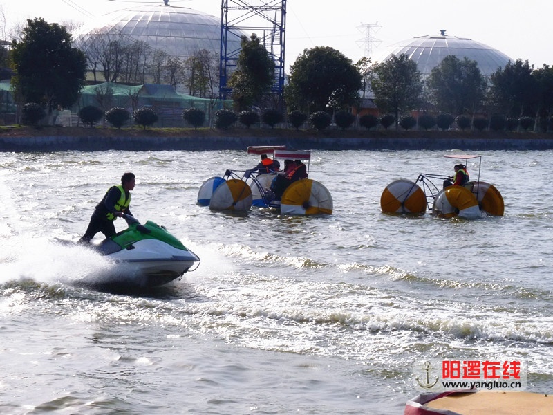 P1140179_副本.jpg