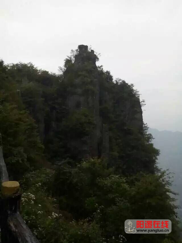 QQ图片20160309140305.jpg