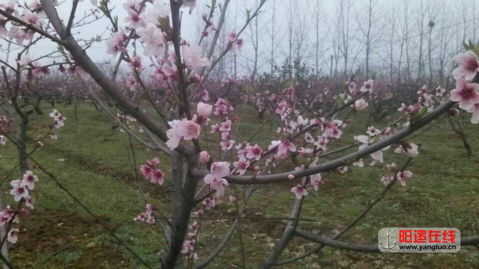 QQ图片20160315140325.jpg