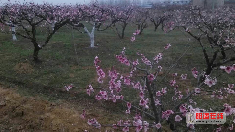QQ图片20160315140333.jpg