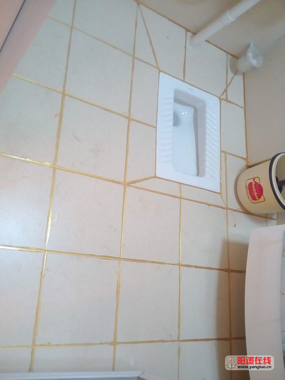 26220000756408271.jpg