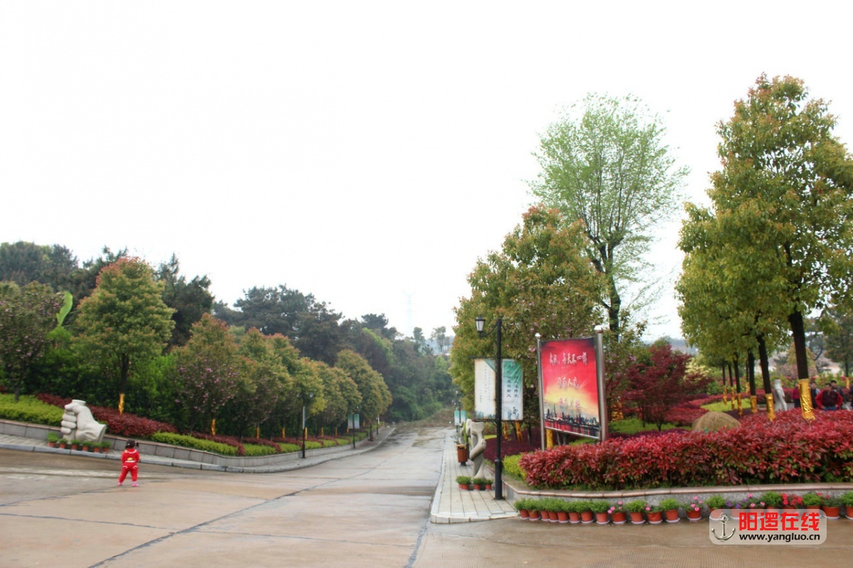 19.jpg
