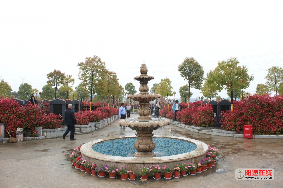 23.jpg