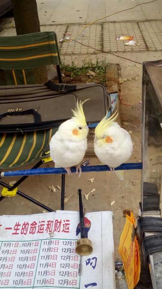 QQ图片20160405132424.jpg