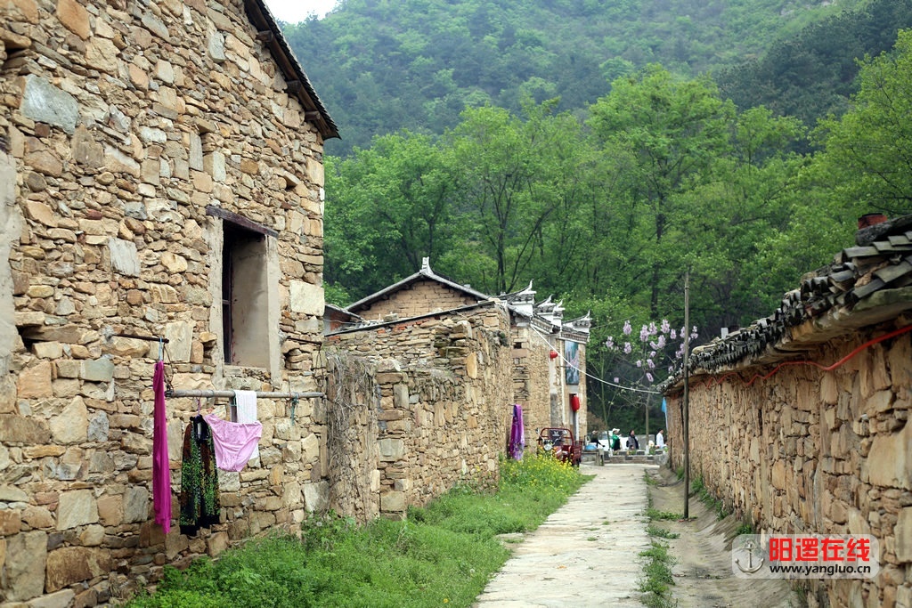 261.jpg
