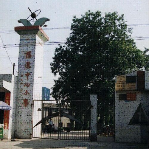 阳逻中心小学老校区.jpg