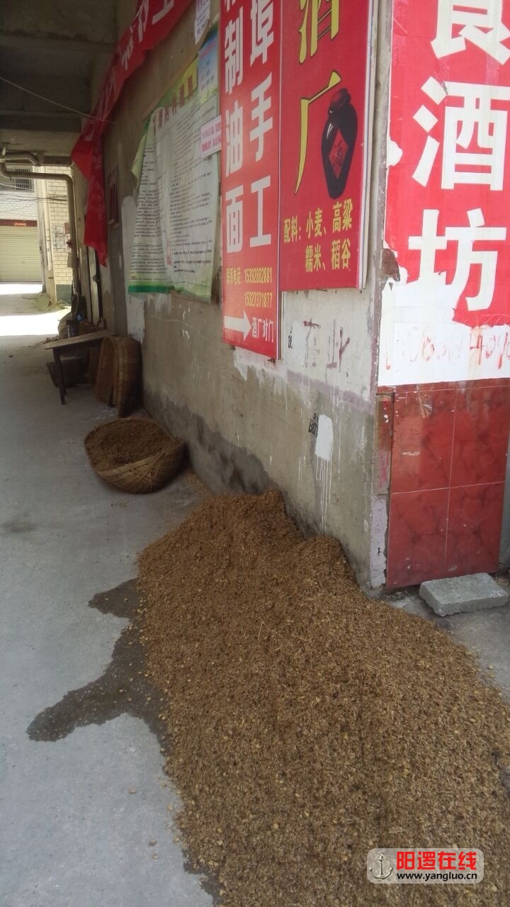 酒糟