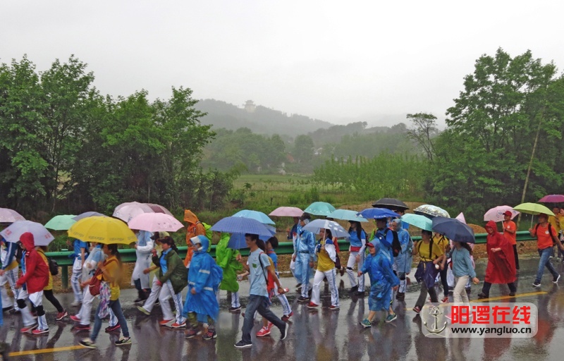 雨中行 吴新堤.jpg