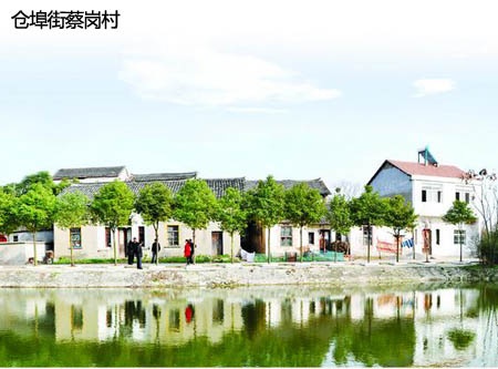 仓埠美丽乡村.jpg