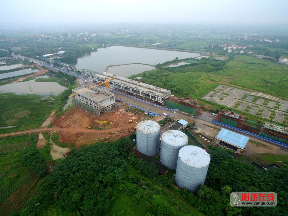 阳逻21号线施岗换乘站.jpg