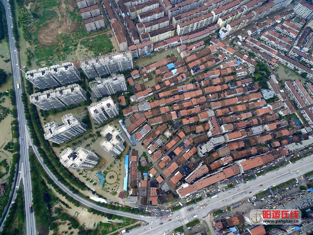 阳逻东方新天地和南占塆社区.jpg