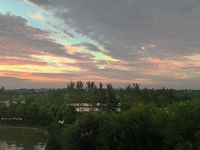 IMG_1759.jpg