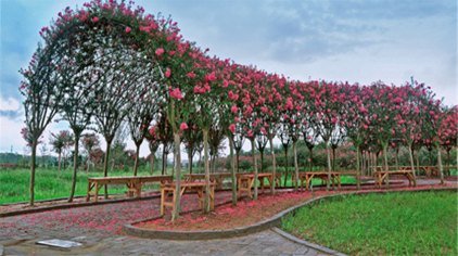 201505040942199298.jpg