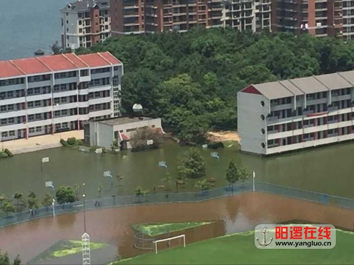 QQ图片20160724200152.jpg