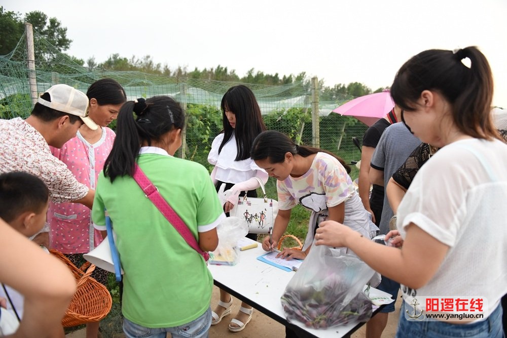 阳逻在线佳阳葡萄园采摘亲子游13.jpg