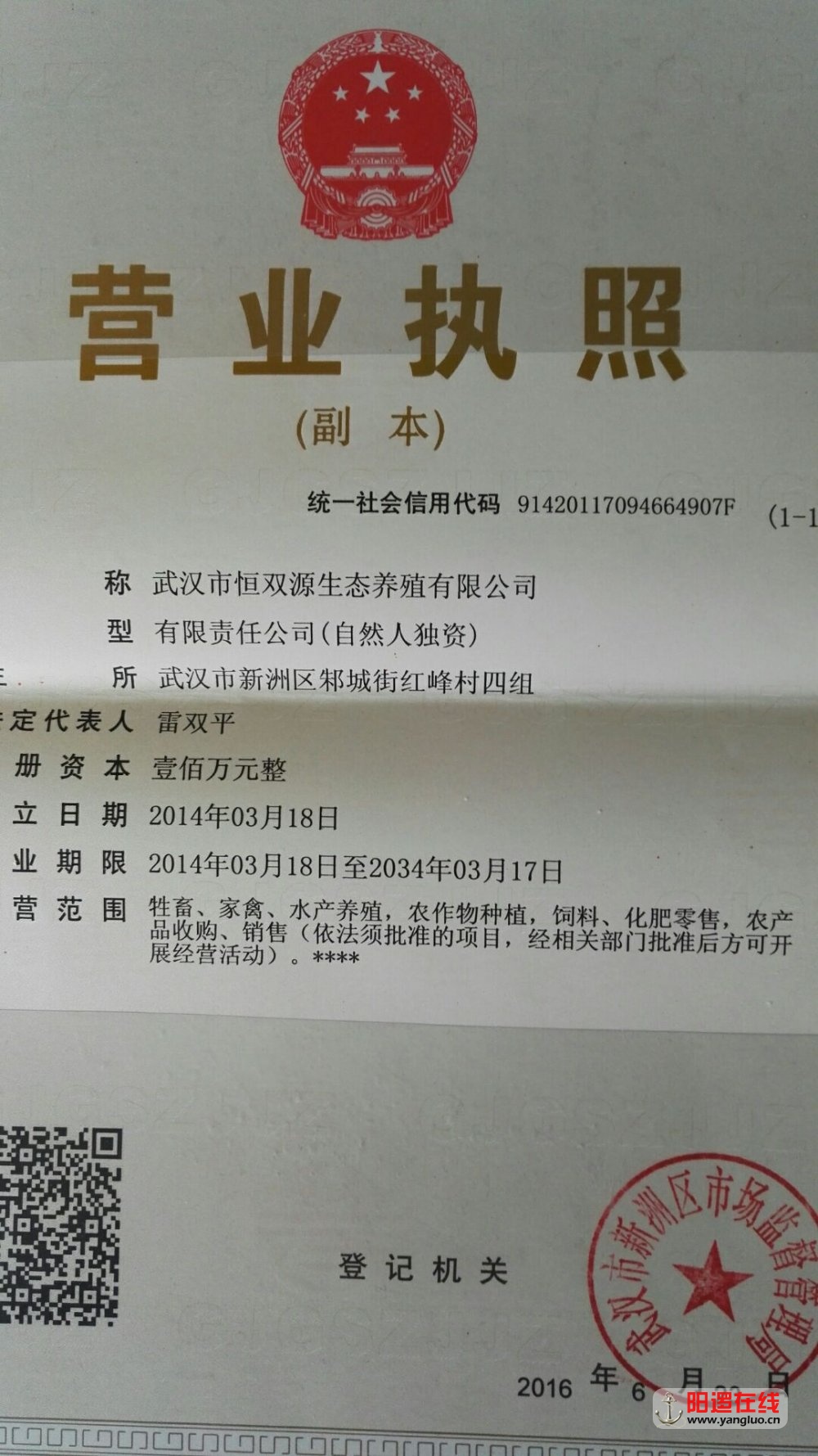 105.jpg