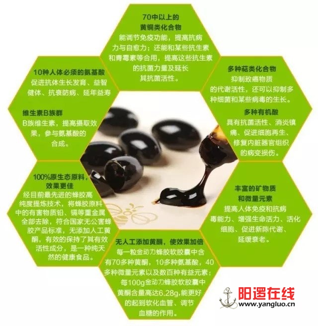 640.webp (1)_副本.jpg
