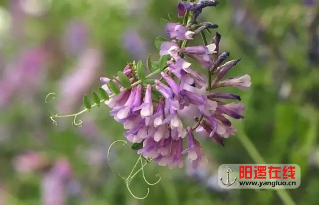 94.webp_副本.jpg