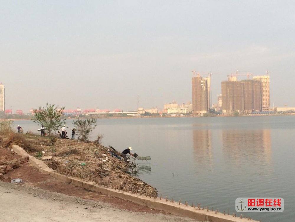 QQ截图20160928123350.jpg
