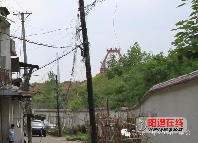 阳逻镇小.webp.jpg