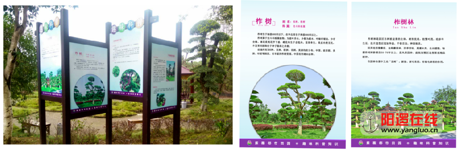 QQ图片20161030103526.png