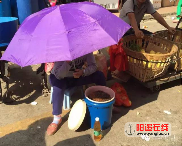 QQ图片20161109195231.png