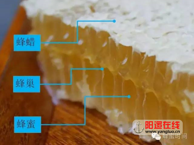 QQ图片20161109195329.png