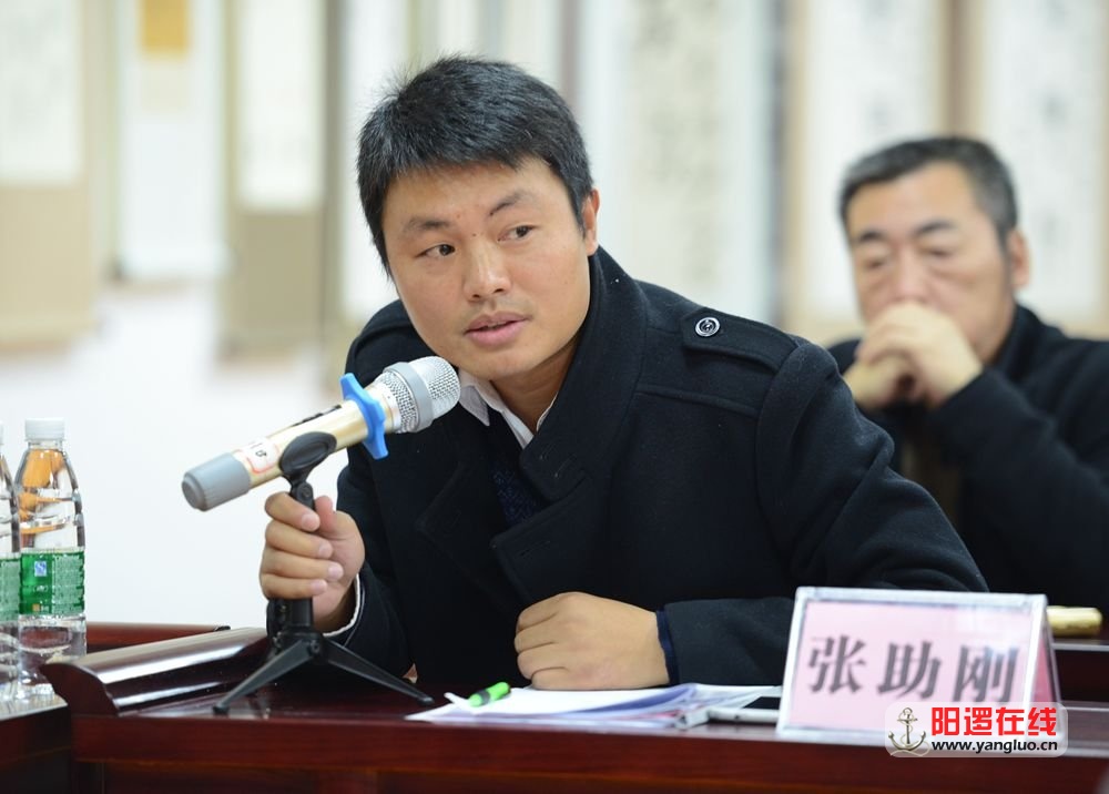 中国书法家协会会员、武汉书法家协会理事张助刚