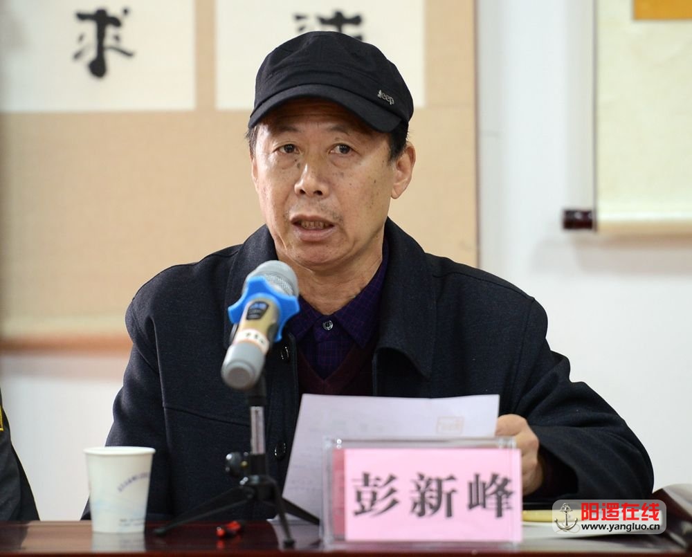 新洲区书画家协会副主席彭新峰发言