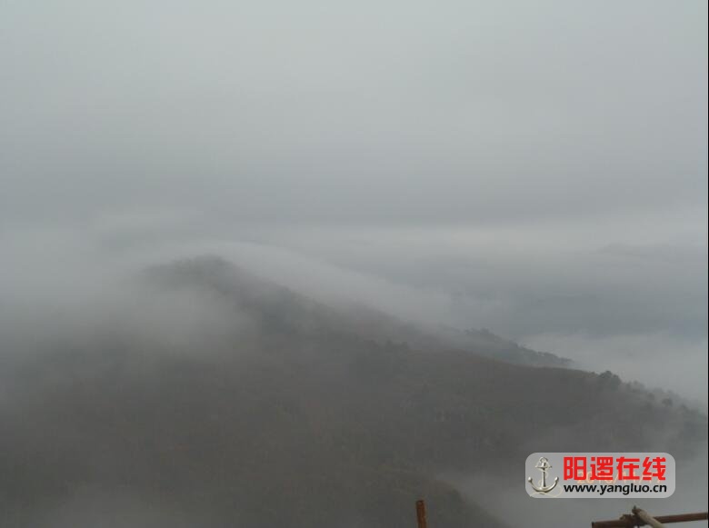 QQ图片20161119113117.jpg