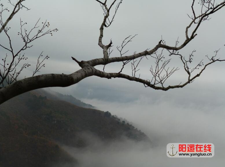 QQ图片20161119113251.jpg