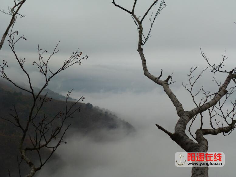 QQ图片20161119113255.jpg
