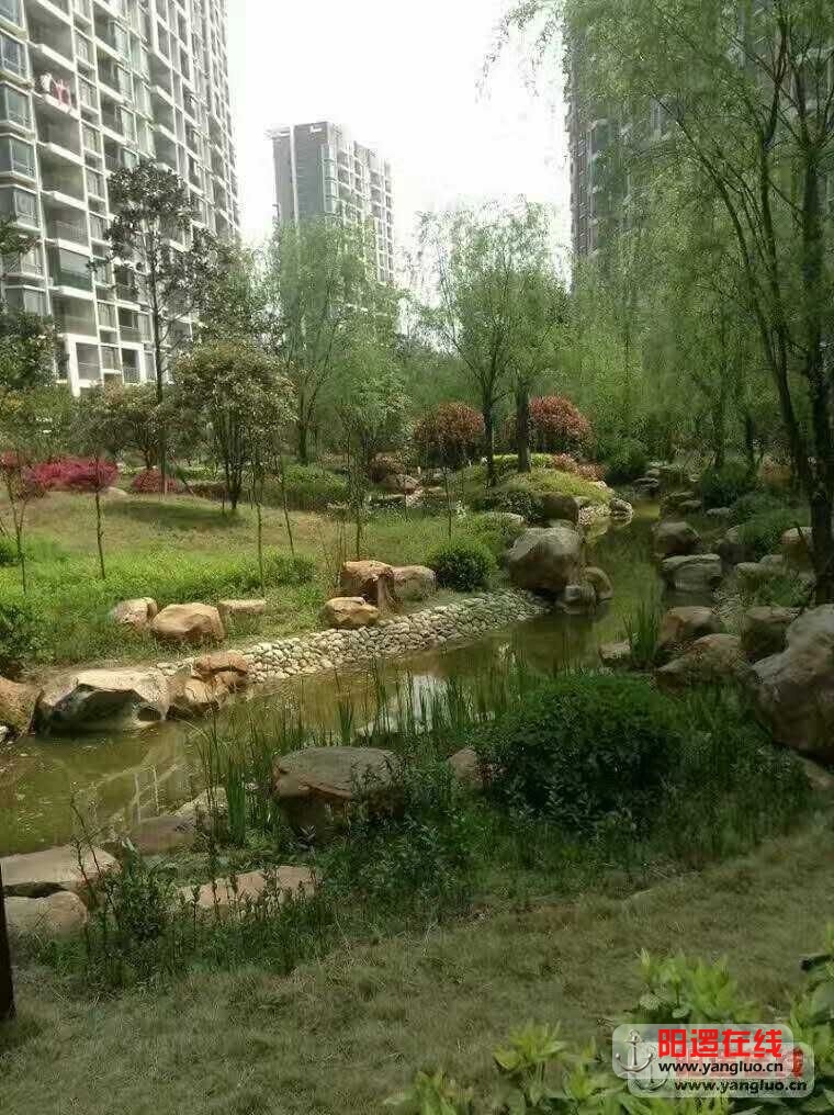 QQ图片20161218163603.jpg