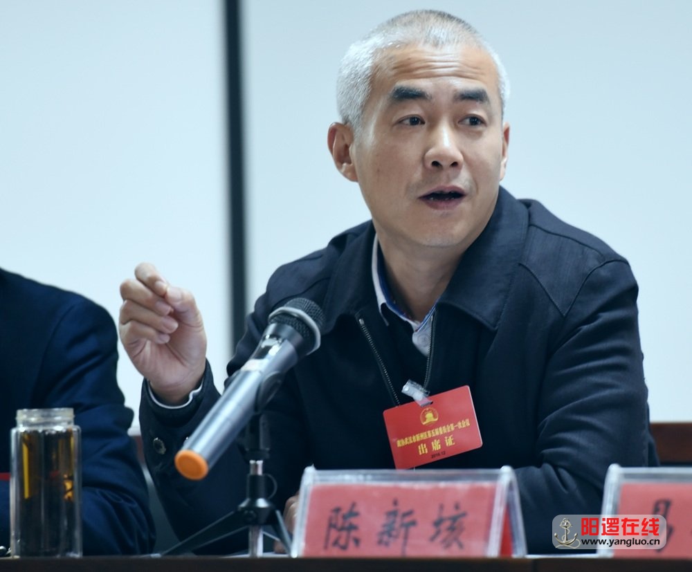 新洲区委书记陈新垓.jpg