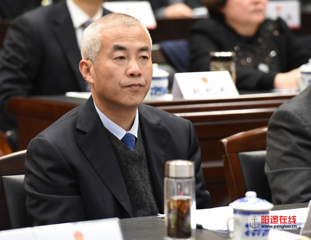 新洲区委书记陈新垓.jpg