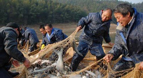 千人拉网捕鱼.jpg