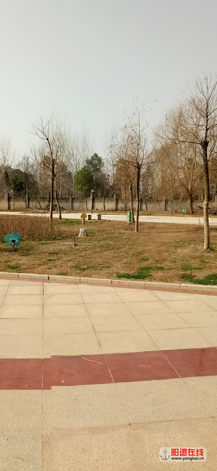 QQ图片20170124102337.jpg