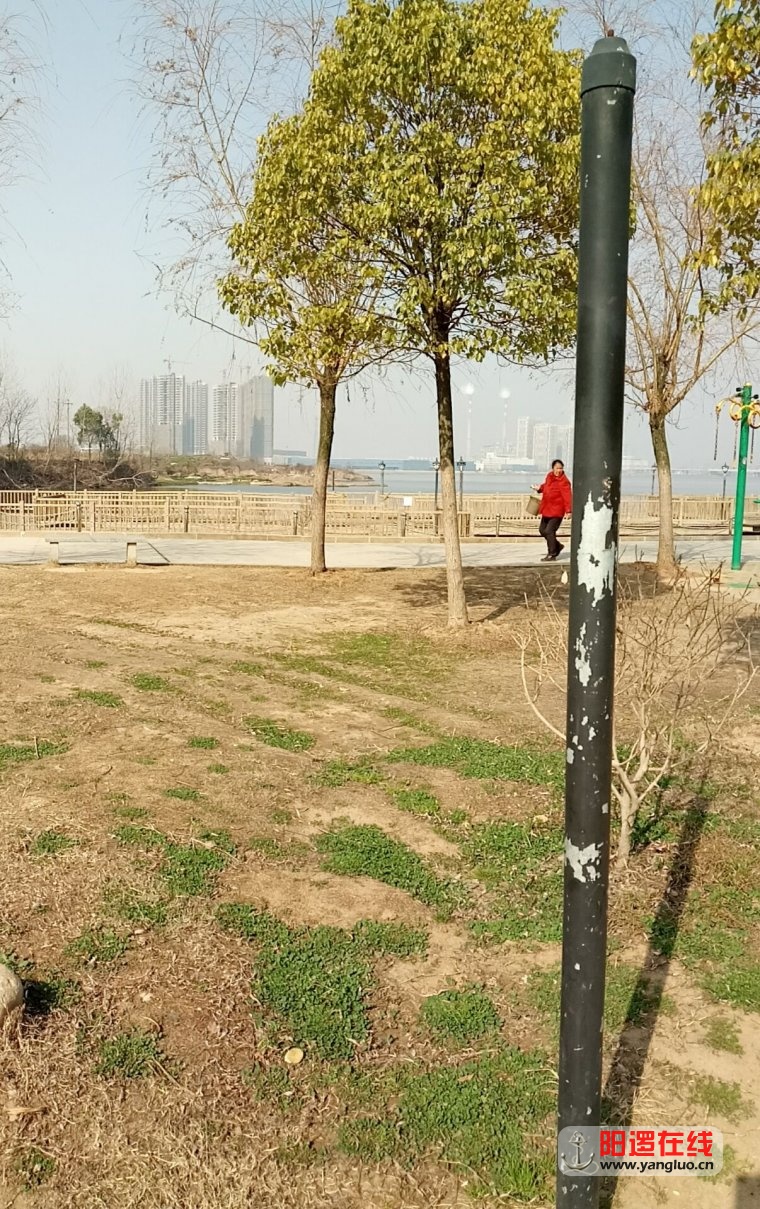 QQ图片20170124102359.jpg