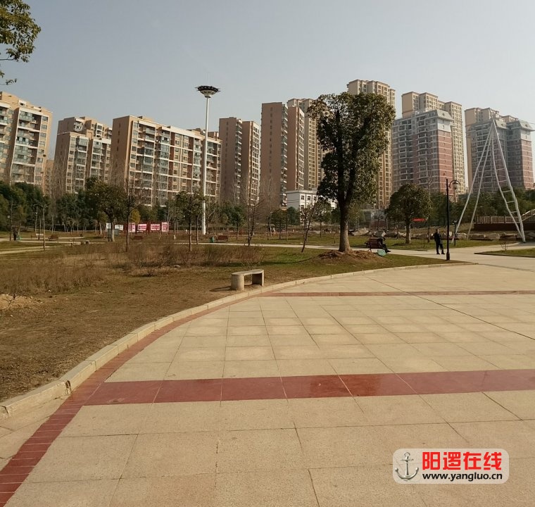 QQ图片20170124102405.jpg
