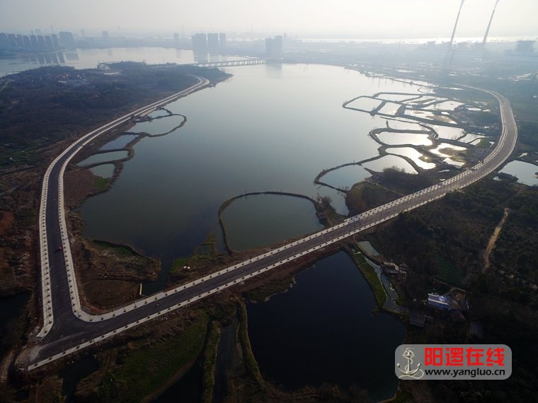 阳逻柴泊湖环湖路.jpg