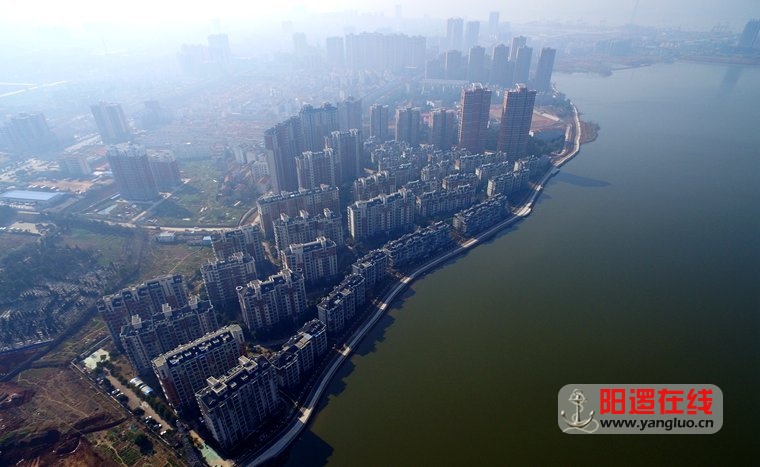 阳逻柴泊湖环湖路4.jpg