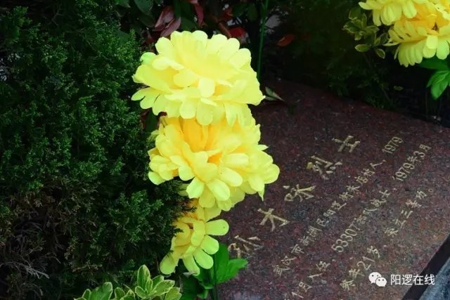瞻仰烈士墓.webp.jpg