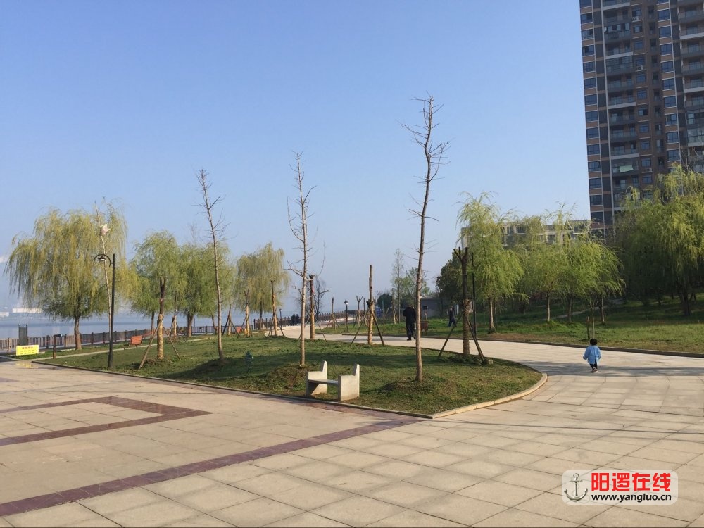 QQ图片20170407224638.jpg